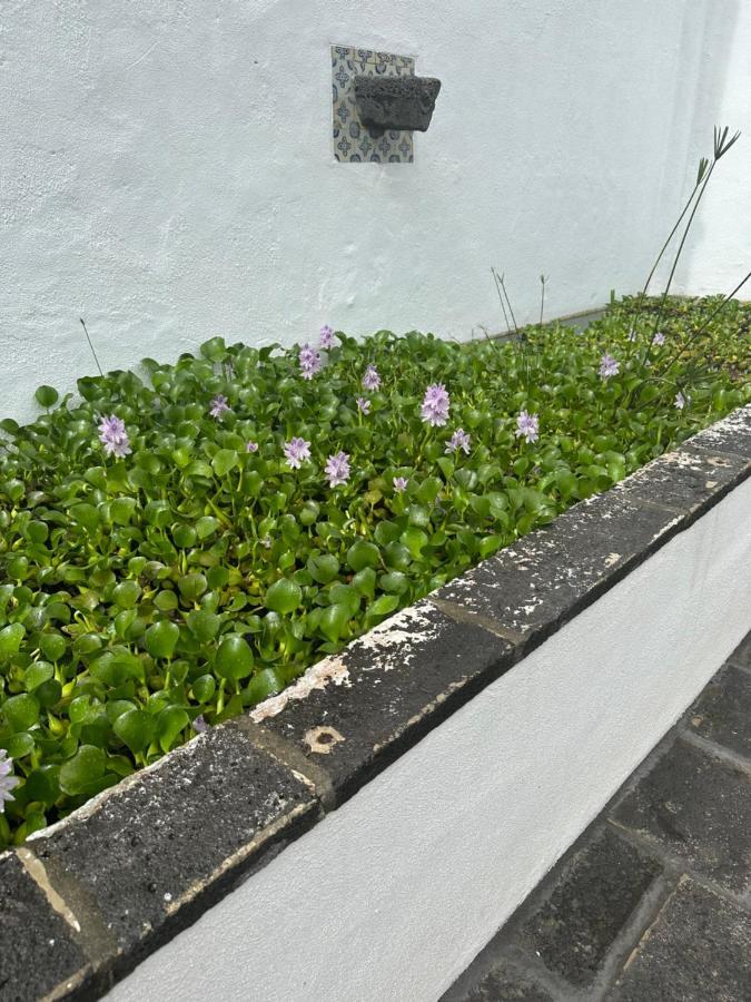 Solar Nossa Senhora Da Conceicao Villa Capelas Kültér fotó