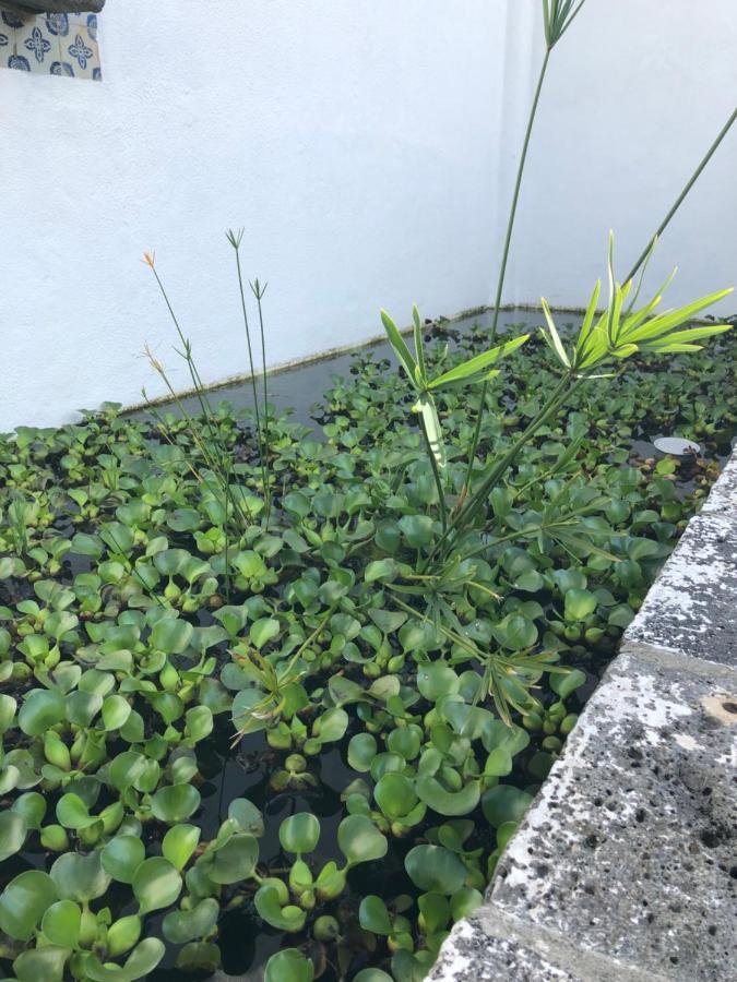 Solar Nossa Senhora Da Conceicao Villa Capelas Kültér fotó
